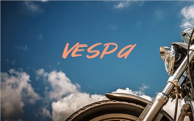[最新產品] VESPA-150  競技品
